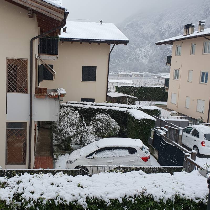 Nevicata ad aldeno