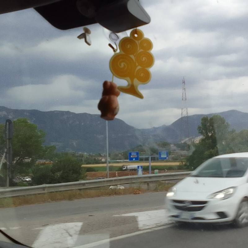 Fotosegnalazione di Rezzato