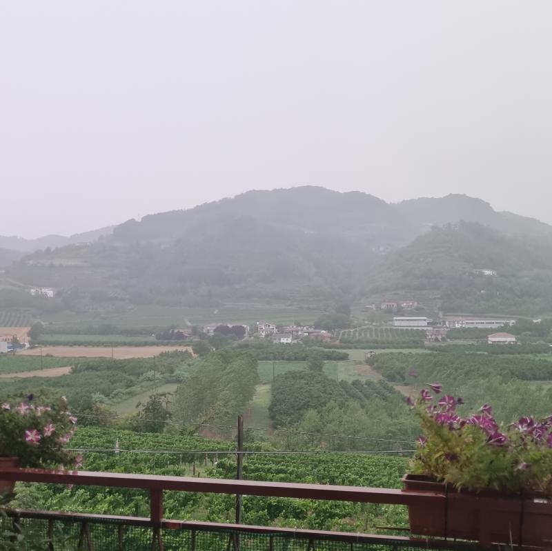Fotosegnalazione di Vesime
