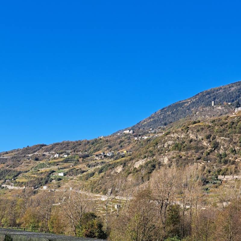 Fotosegnalazione di Tresenda
