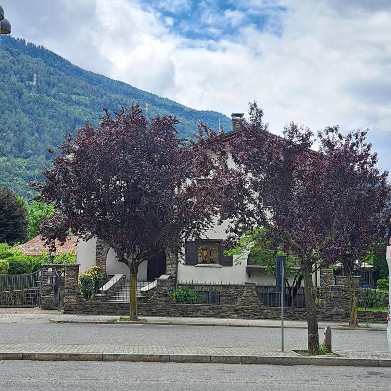 Fotosegnalazione di Tirano