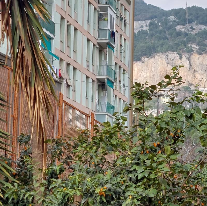 Fotosegnalazione di Genova sestri ponente
