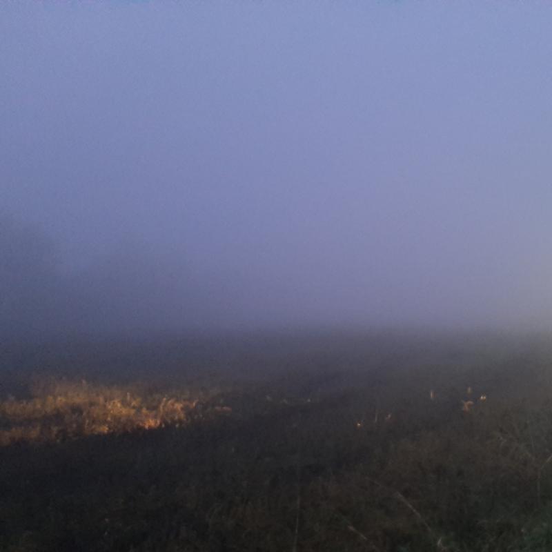 nebbia in val padana