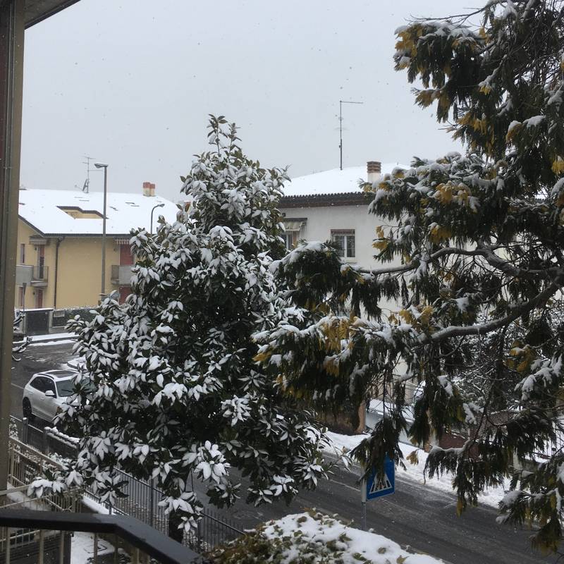 Neve in borgo roma