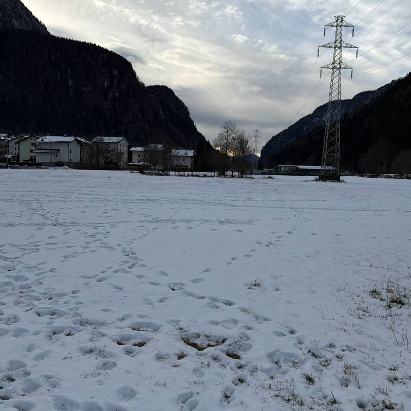 Fotosegnalazione di Campodolcino