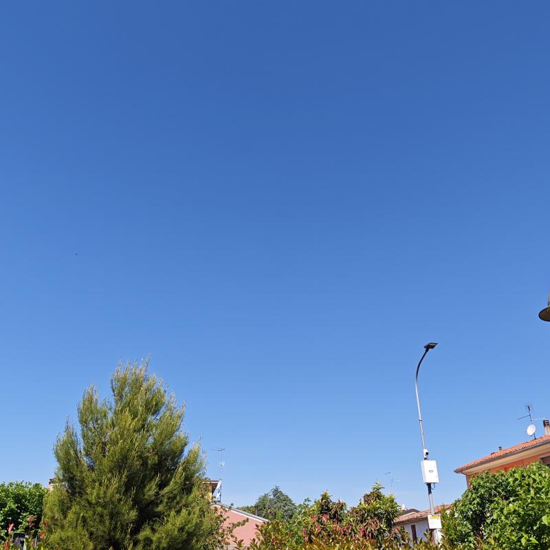 Fotosegnalazione di Viadana