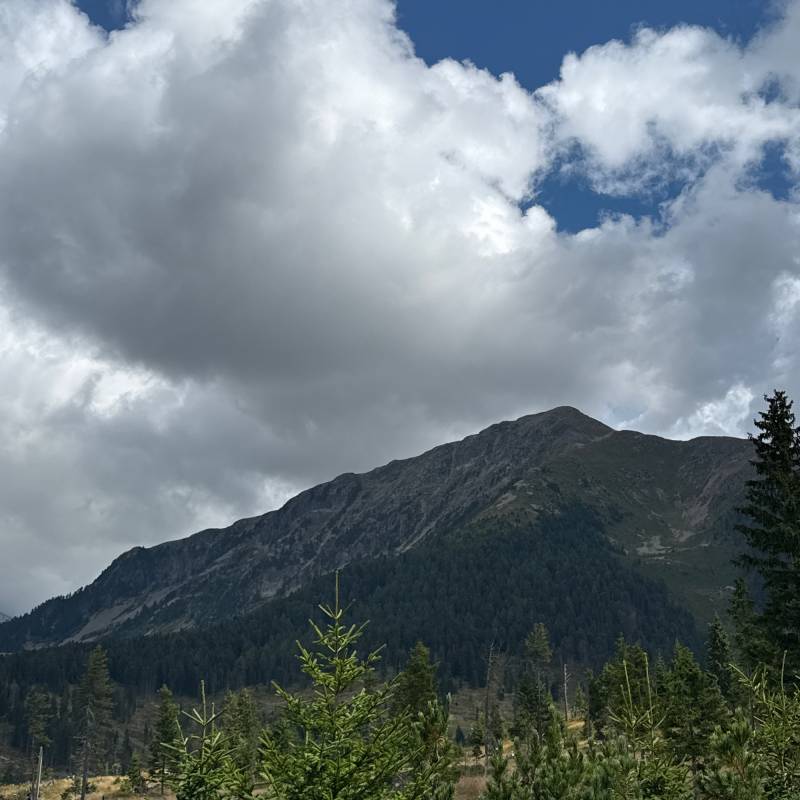 Pala di santa