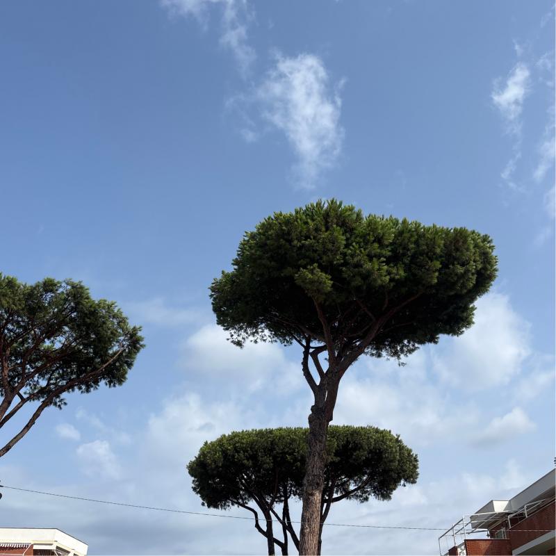 Fotosegnalazione di Lavinio