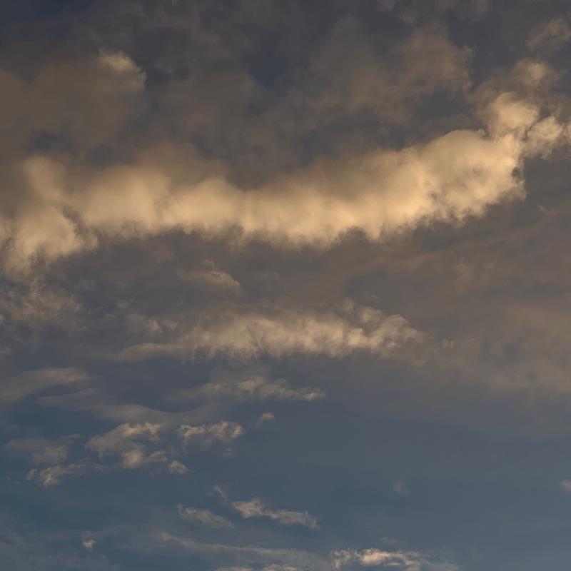 Fotosegnalazione di Bergamo carnovali