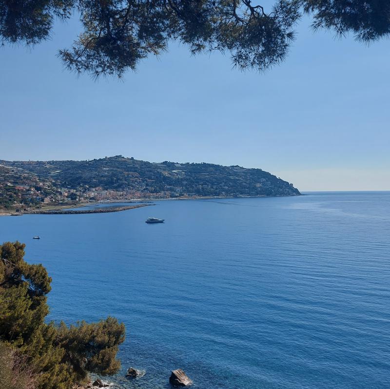 Fotosegnalazione di Bordighera