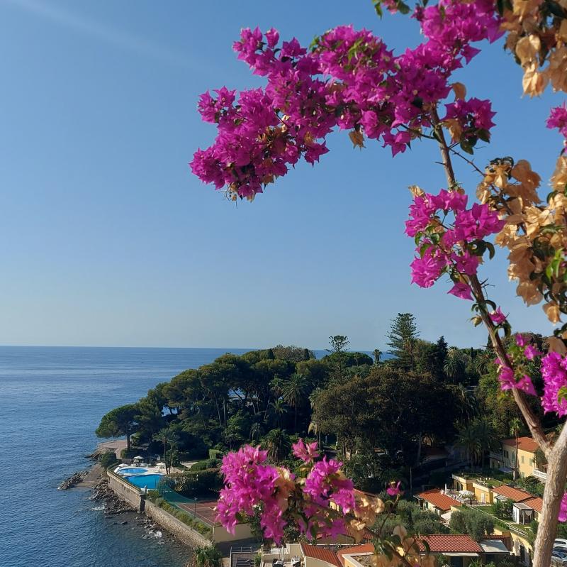 Fotosegnalazione di Bordighera