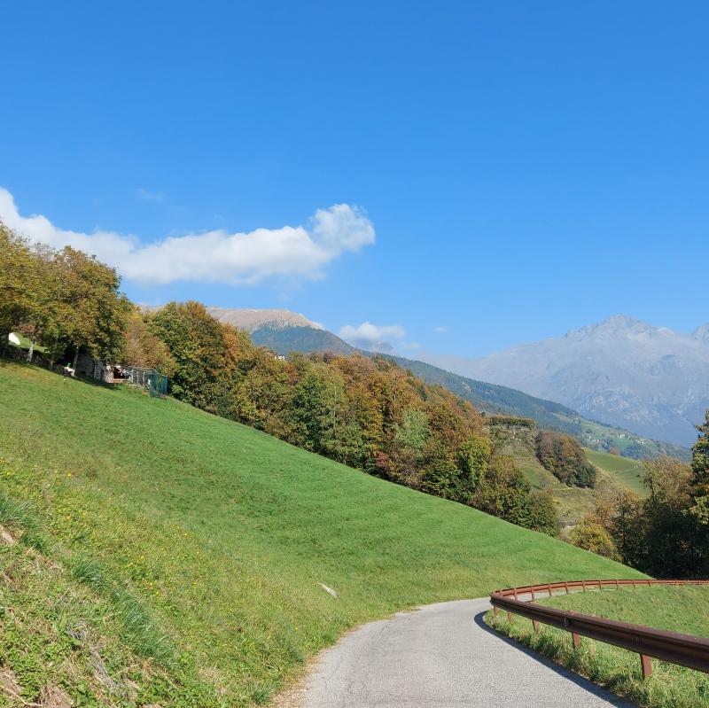 Fotosegnalazione di Ardesio