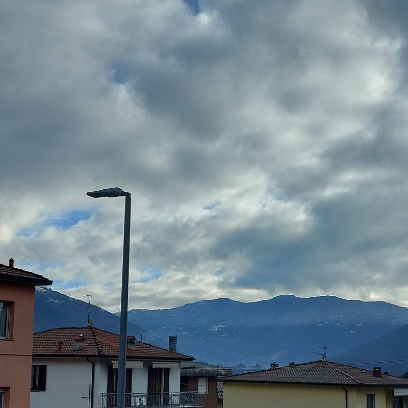 Fotosegnalazione di Albino
