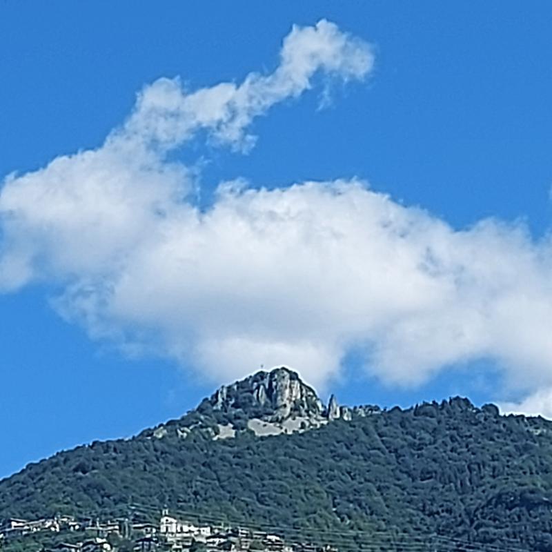 Fotosegnalazione di Albino