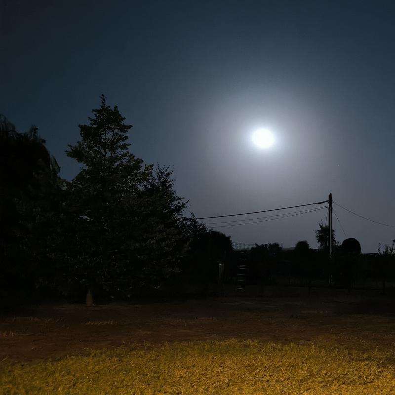 Fotosegnalazione di Campiglione fenile