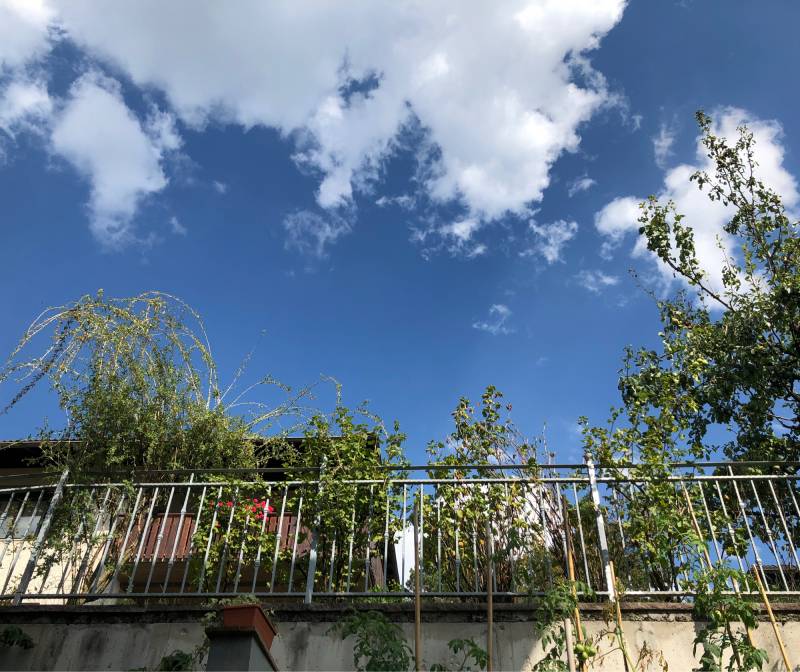 Fotosegnalazione di Sarnonico