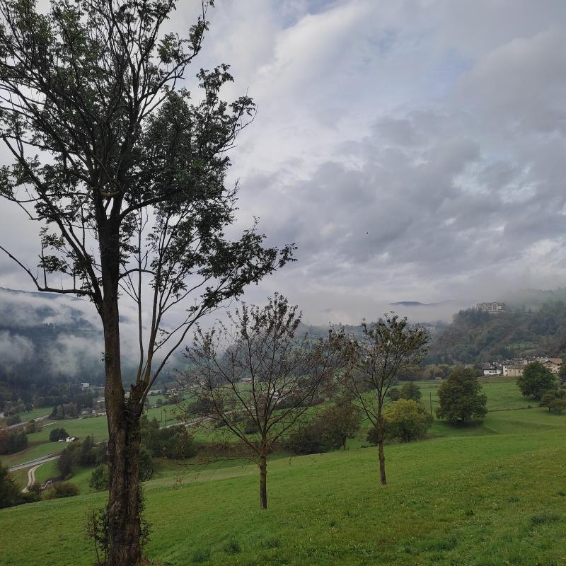 Fotosegnalazione di Cavalese