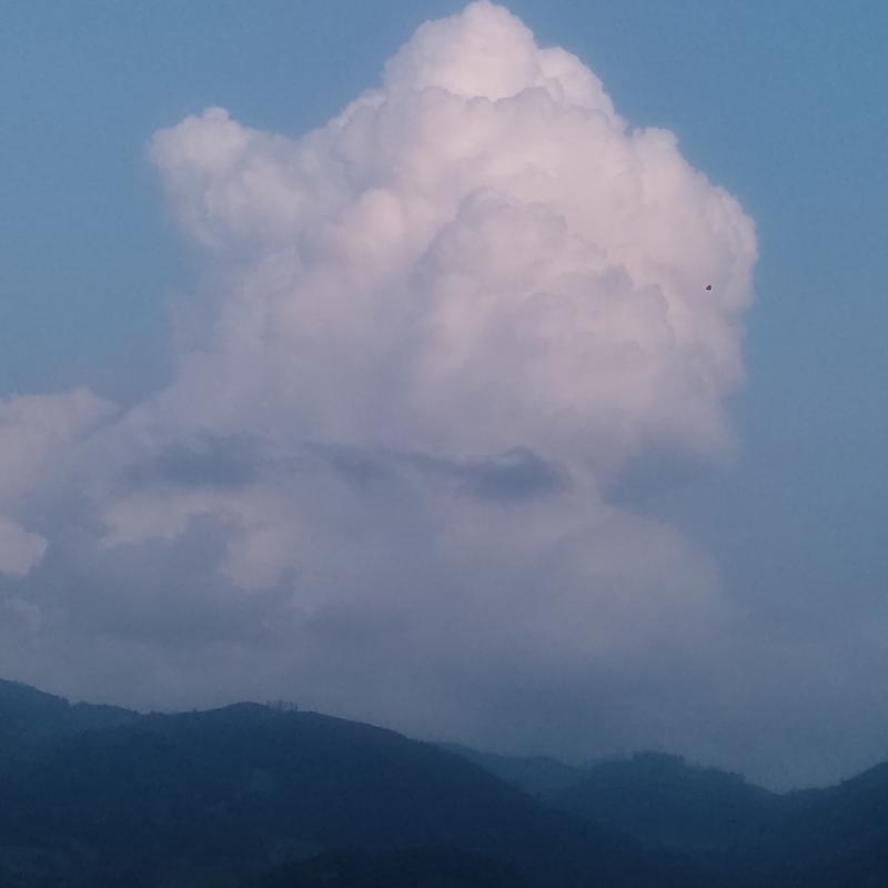 Fotosegnalazione di Cavalese
