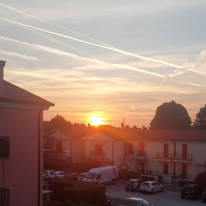 Fotosegnalazione di Mira