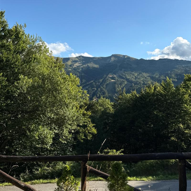 Fotosegnalazione di Abetone