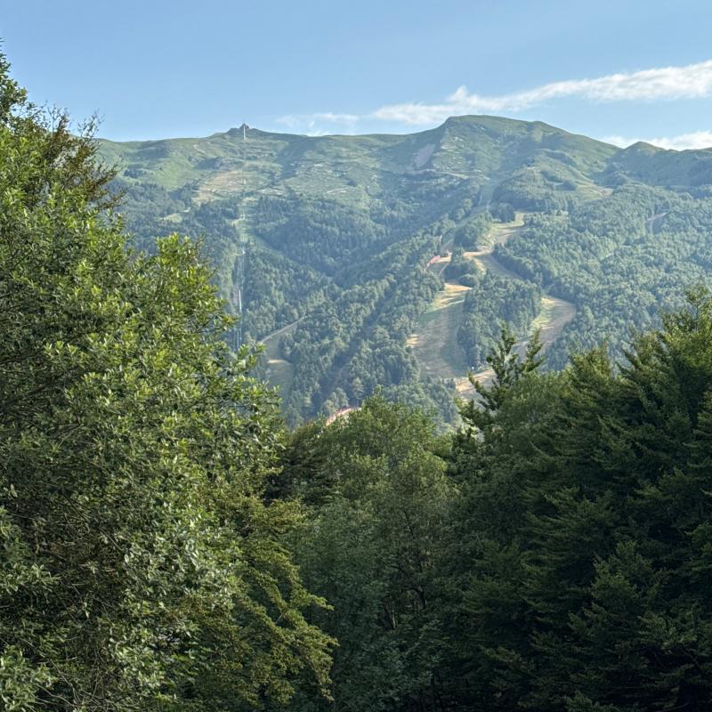 Fotosegnalazione di Abetone