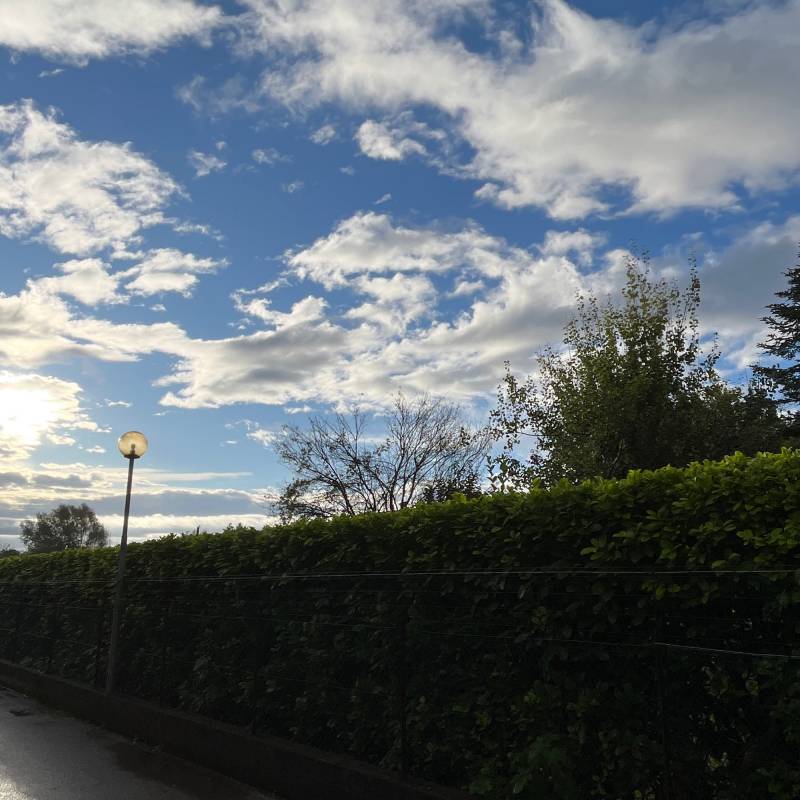 Fotosegnalazione di Casarsa della delizia