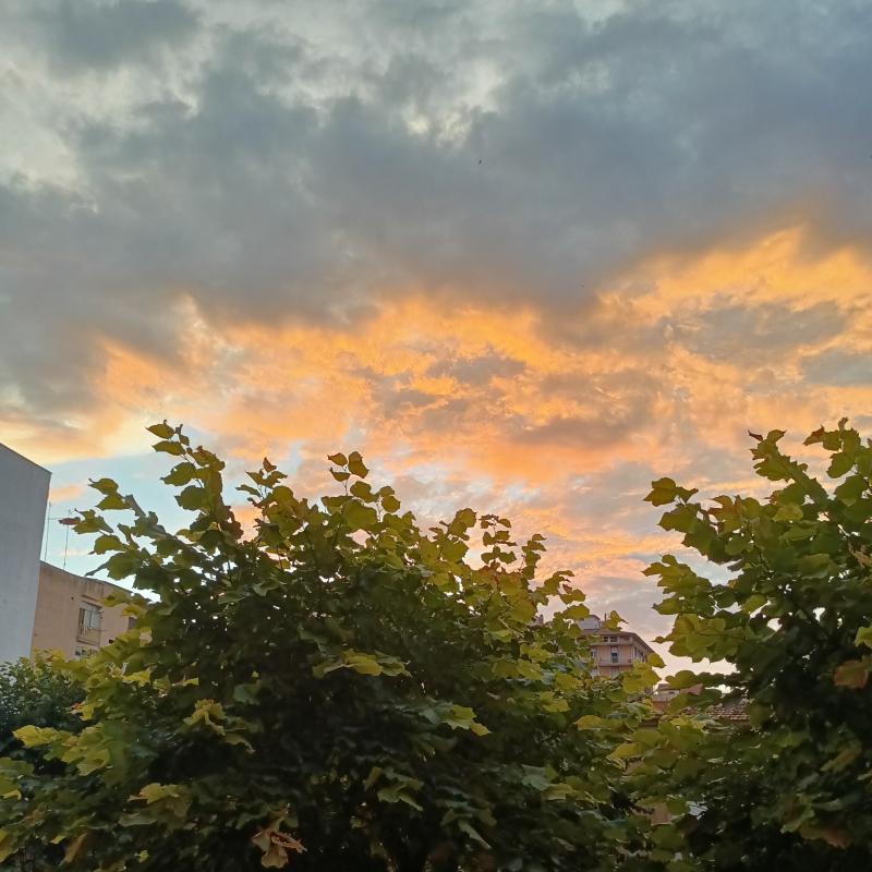 Fotosegnalazione di Foggia centro urbano