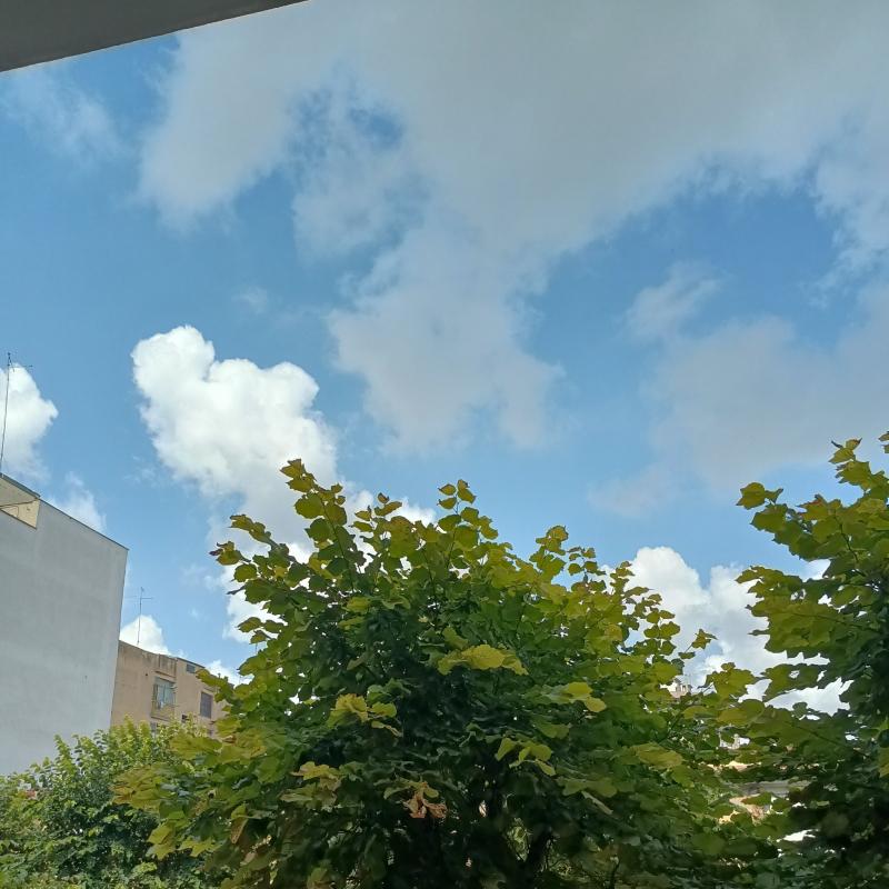 Fotosegnalazione di Foggia centro urbano