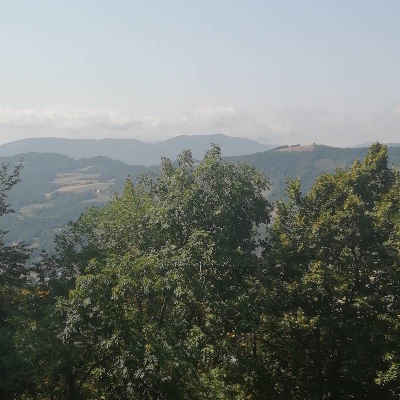 Fotosegnalazione di San benedetto val di sambro