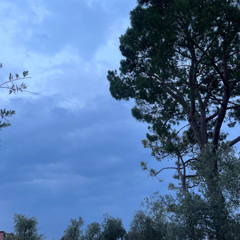 Fotosegnalazione di Toscolano maderno