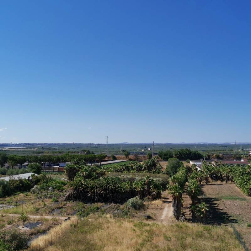Fotosegnalazione di Barletta