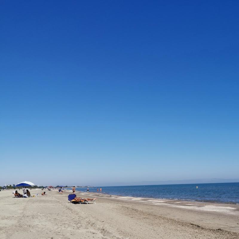 Fotosegnalazione di Barletta