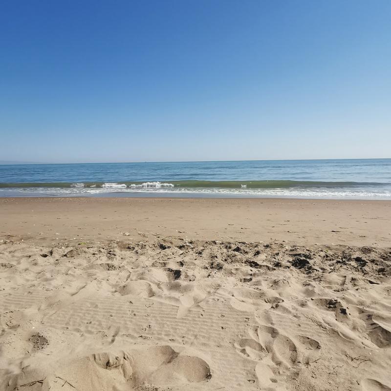 relax totale