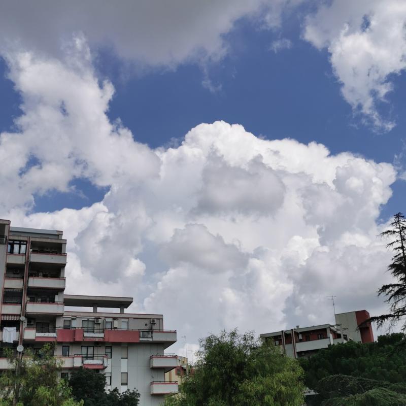 Fotosegnalazione di Foggia centro urbano