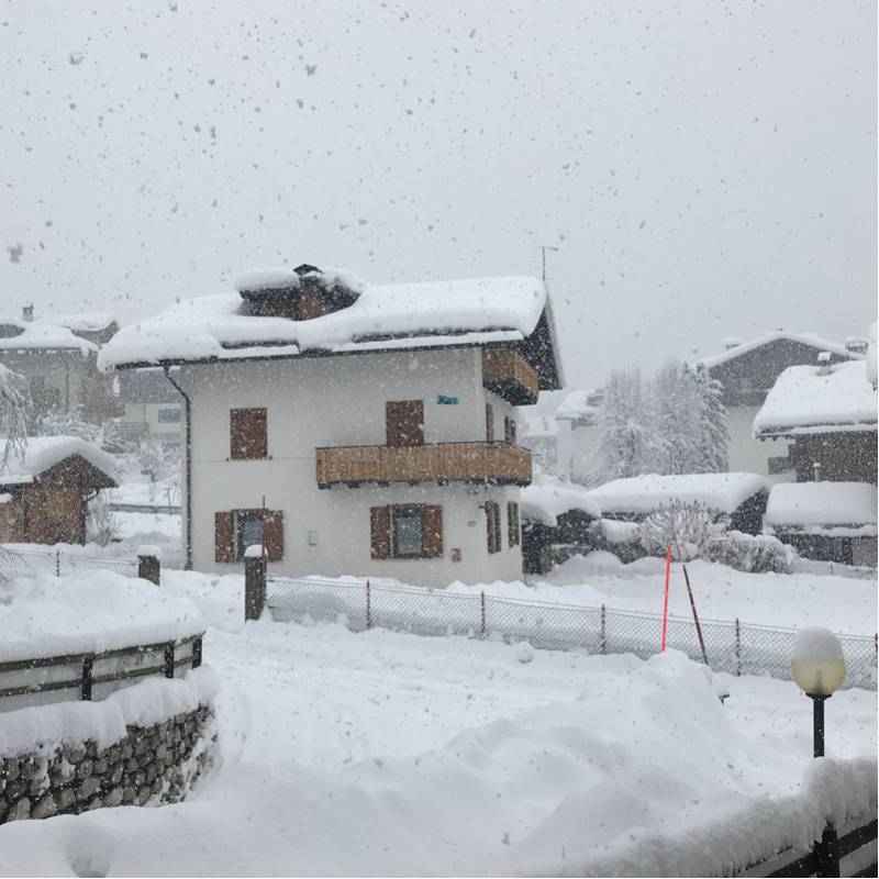 Fotosegnalazione di Falcade