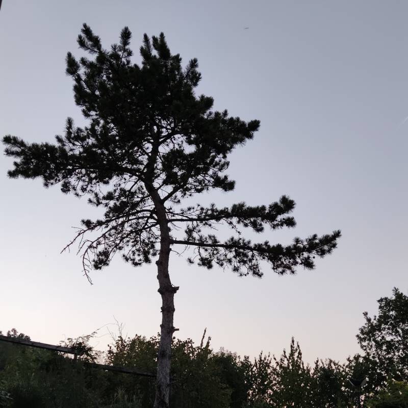 Fotosegnalazione di Borgoratto mormorolo