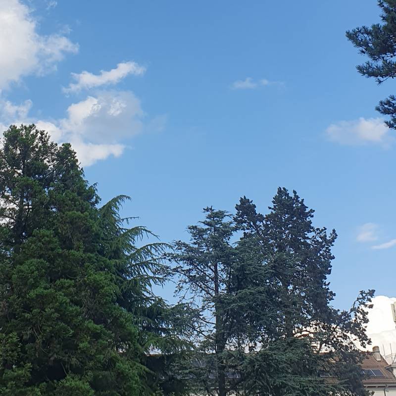 Fotosegnalazione di Belluno centro urbano