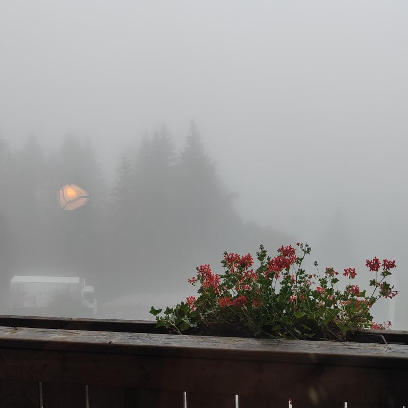 Fotosegnalazione di Rasun anterselva