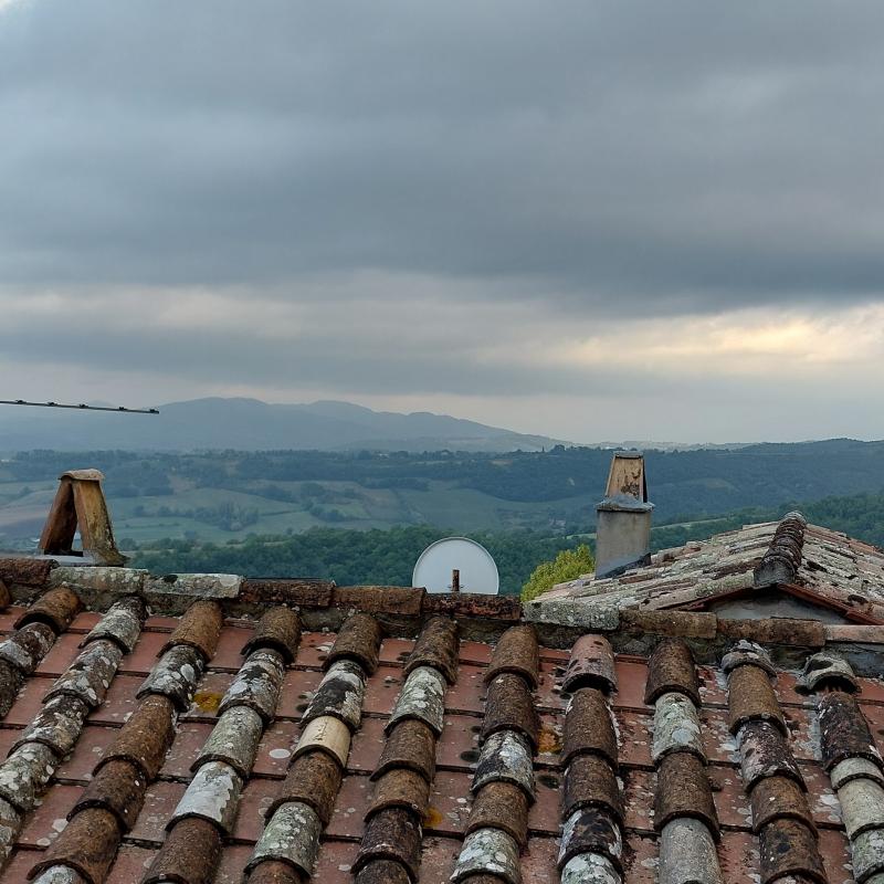 Fotosegnalazione di Montone