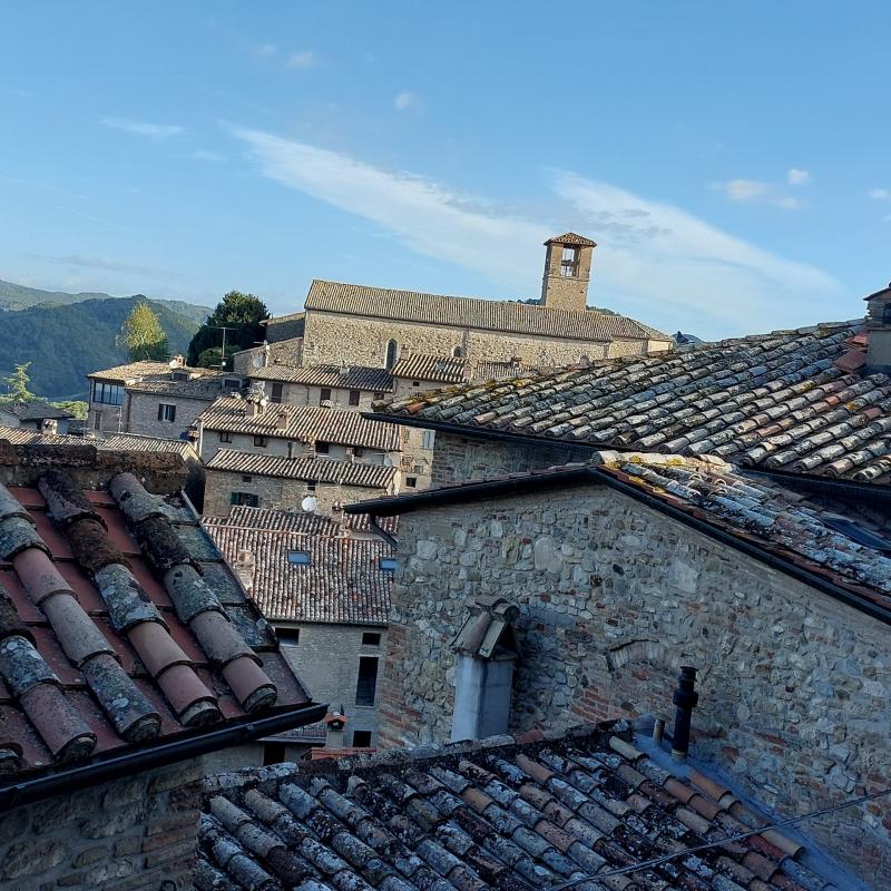 Fotosegnalazione di Montone
