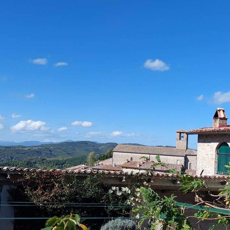 Fotosegnalazione di Montone