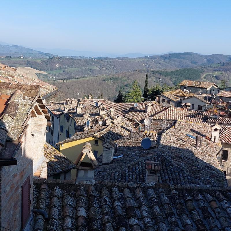 Fotosegnalazione di Montone