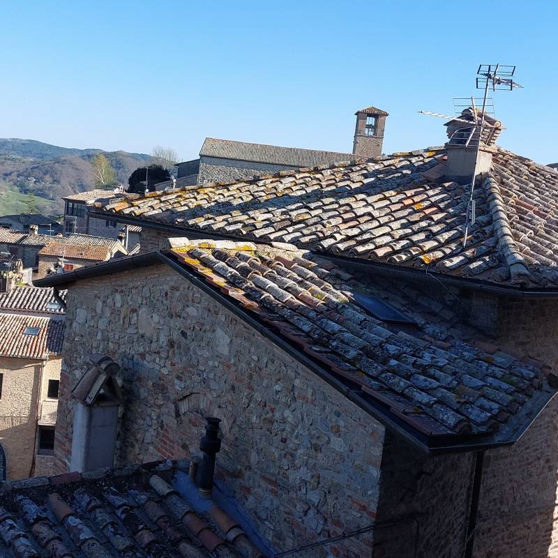 Fotosegnalazione di Montone