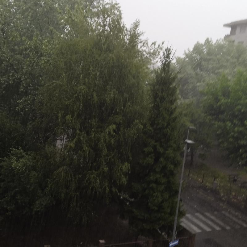 Fotosegnalazione di Novara centro urbano