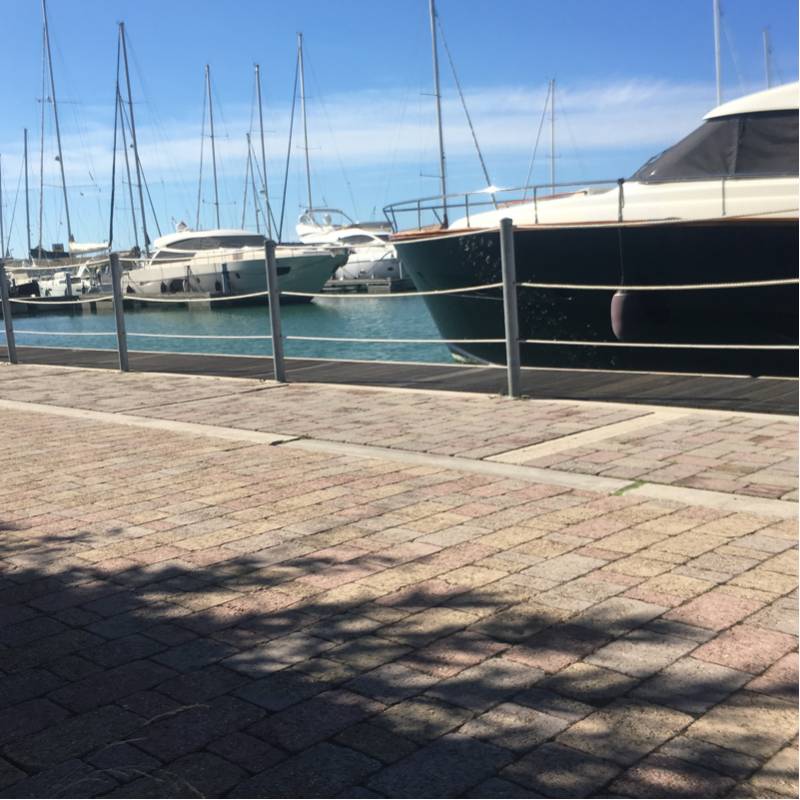 Fotosegnalazione di San vincenzo