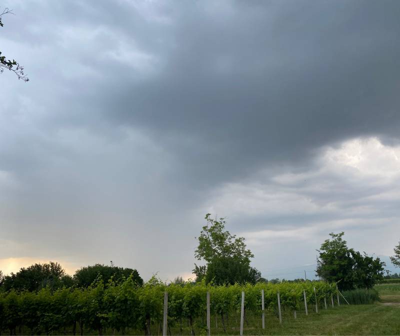 Fotosegnalazione di Zoppola