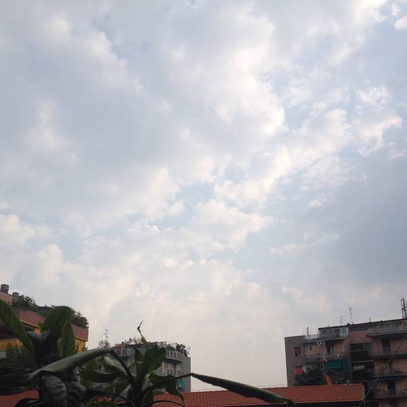 Fotosegnalazione di Milano niguarda
