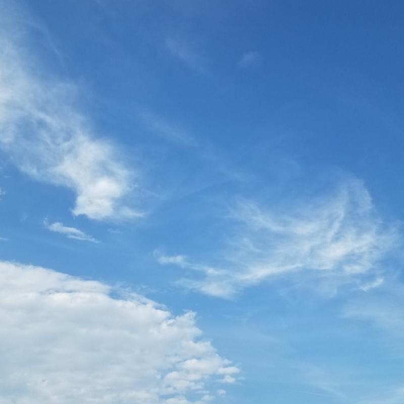 Fotosegnalazione di Mondolfo