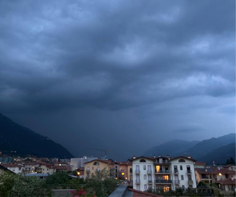 Costa volpino