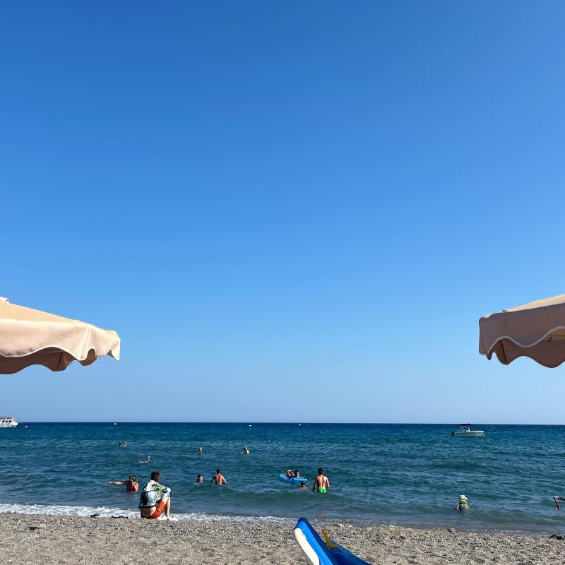Fotosegnalazione di Pastida